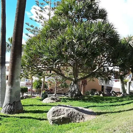 Apartamento With Pool And Gardens Near The Coast San Miguel de Abona
